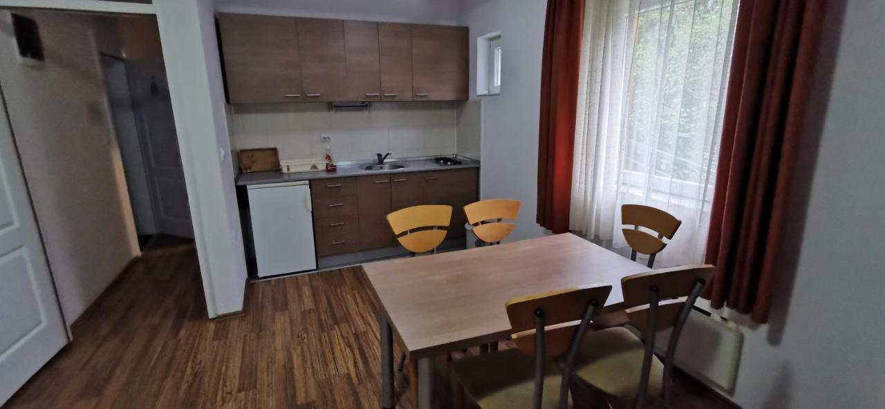 Apartments Banjica Sokobanja Buitenkant foto